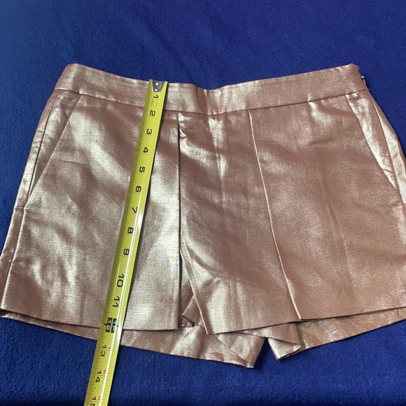 Iredescent Metalic Linen/ Cotton Shorts - Picture 7 of 8